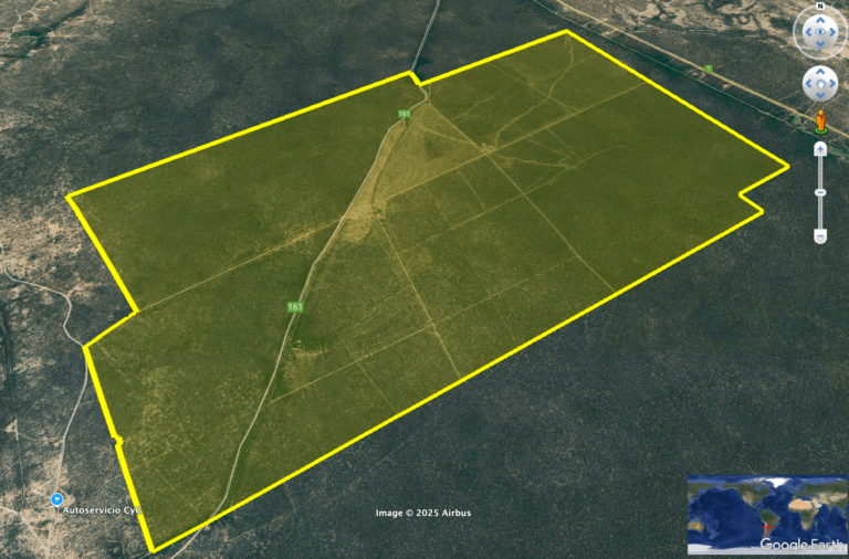 Proyecto de Offsets de Carbono HORNERO – ARGENTINA