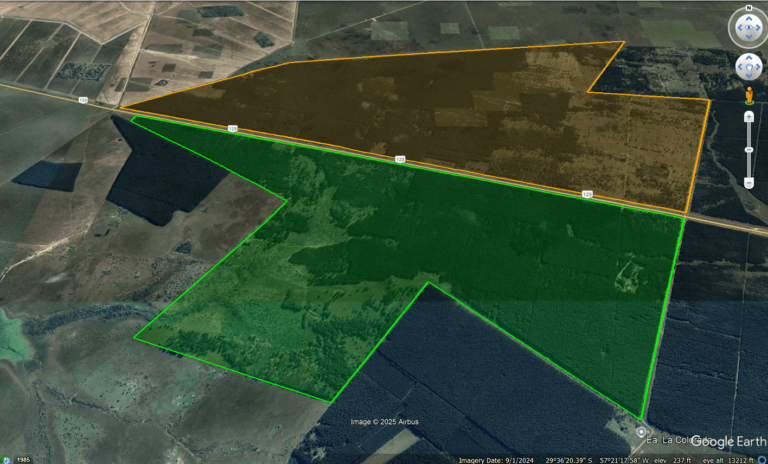 Proyecto de Offsets de carbono CARANCHO – ARGENTINA