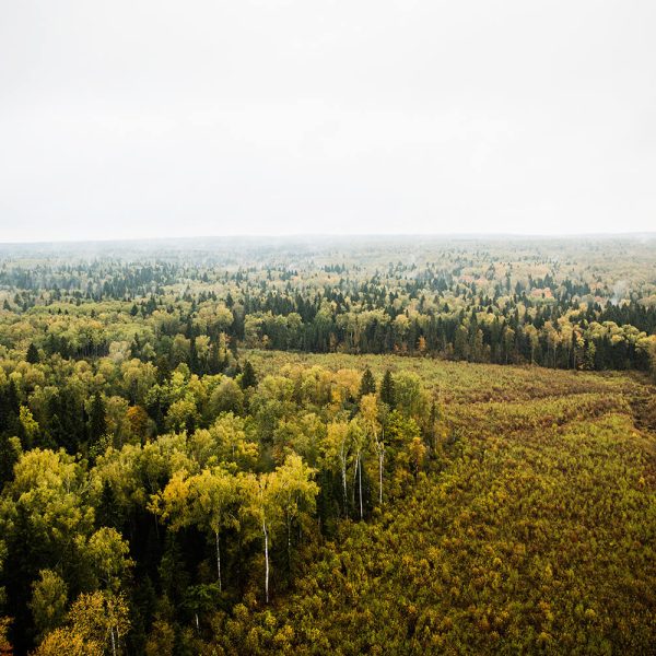 nature-photography-from-air – 96 DPI – RECO-COMP nature-photography-from-air - 96 DPI - RECO-COMP